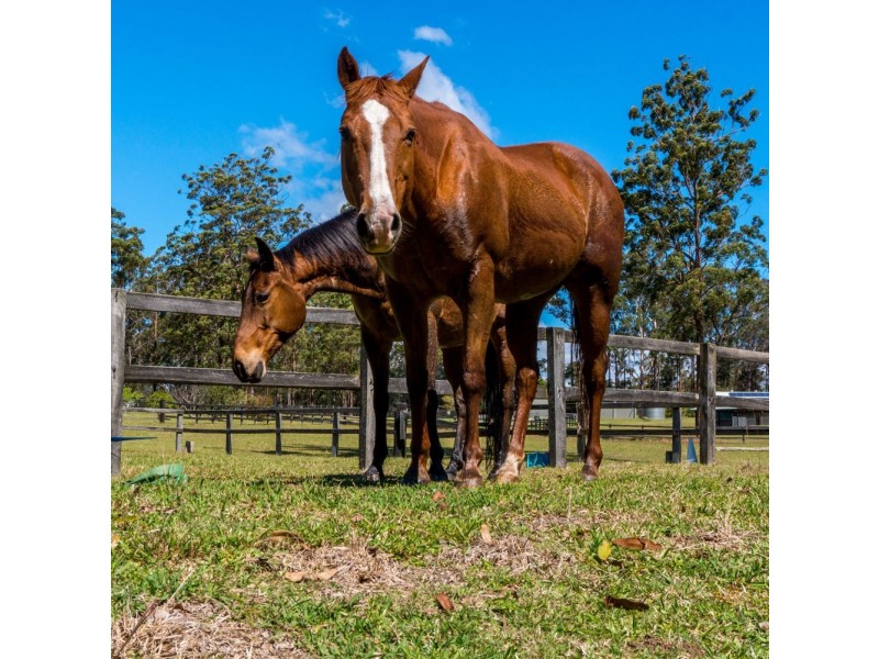 40 Sauls Lane, Barraganyatti NSW 2441