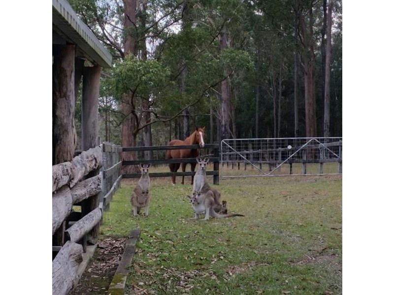 40 Sauls Lane, Barraganyatti NSW 2441