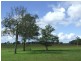 Kempsey NSW 2440
