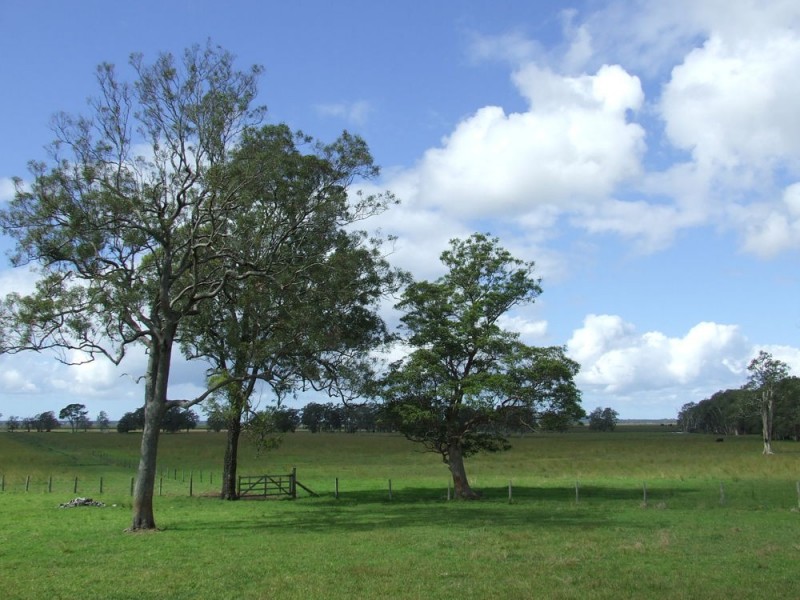 Kempsey NSW 2440