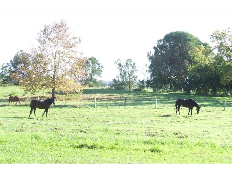 8 Giblin Place, Euroka NSW 2440