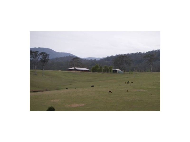 Ellenborough NSW 2446