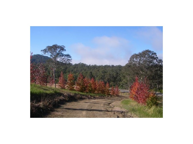 Ellenborough NSW 2446