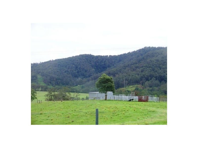 Ellenborough NSW 2446