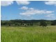 Gum Scrub NSW 2441