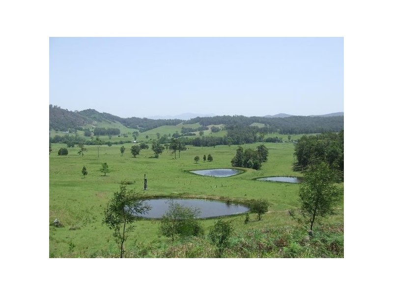 Gum Scrub NSW 2441