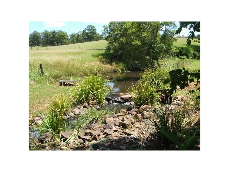 Gum Scrub NSW 2441