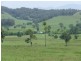Gum Scrub NSW 2441