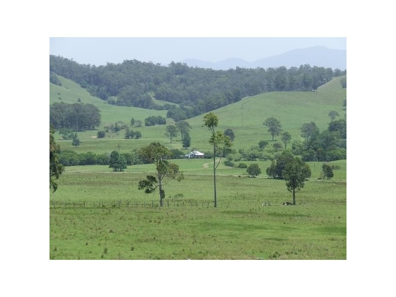 Gum Scrub NSW 2441