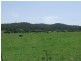 Gum Scrub NSW 2441