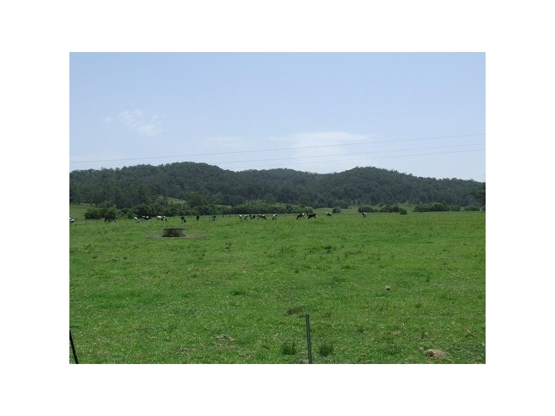 Gum Scrub NSW 2441