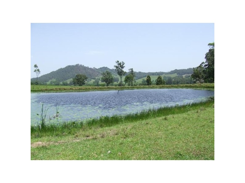 Gum Scrub NSW 2441