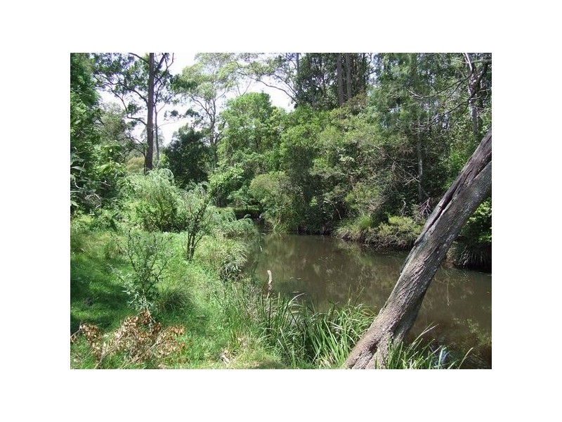 Gum Scrub NSW 2441