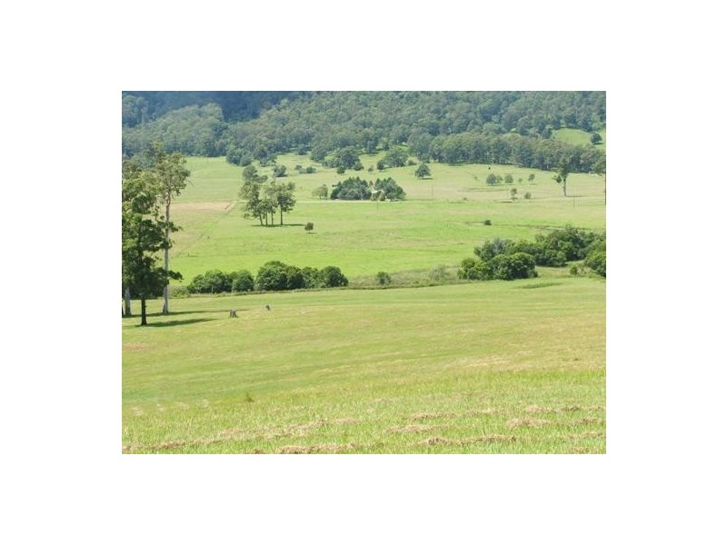 Gum Scrub NSW 2441