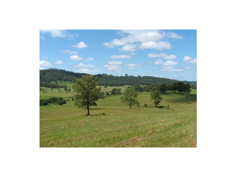 Gum Scrub NSW 2441