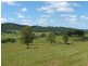 Gum Scrub NSW 2441