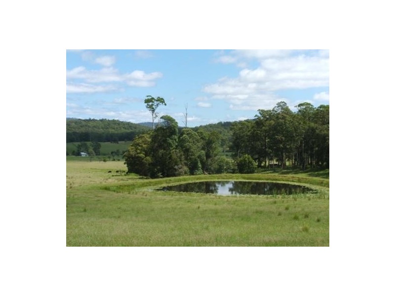 Gum Scrub NSW 2441