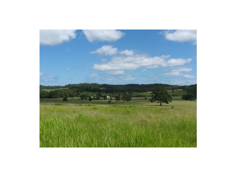 Gum Scrub NSW 2441