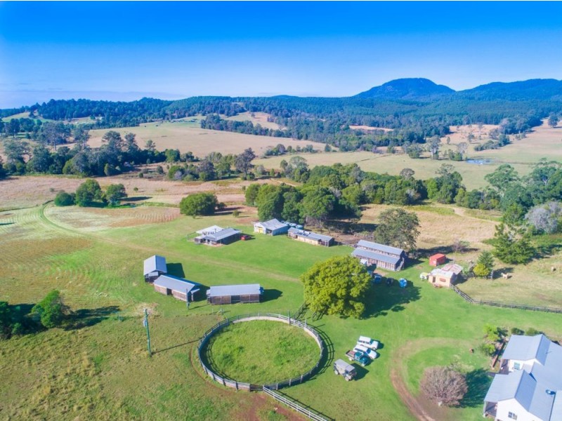 Rollands Plains NSW 2441