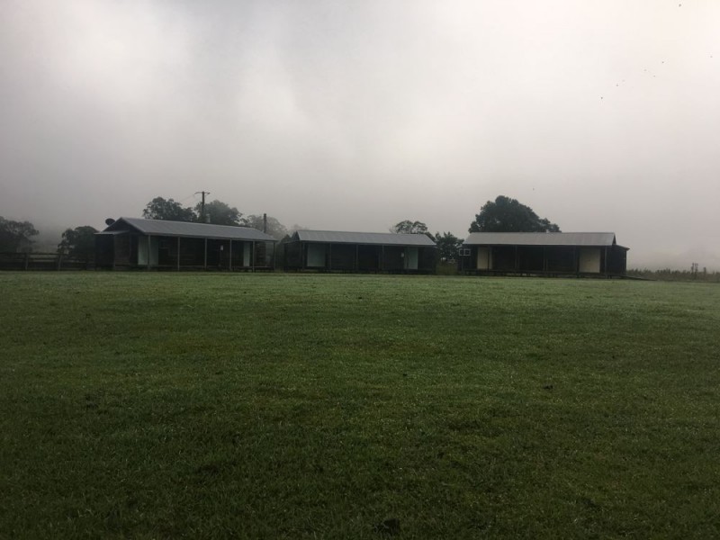 Rollands Plains NSW 2441