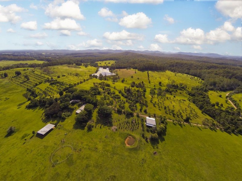 387 Tamban Rd, Tamban NSW 2441