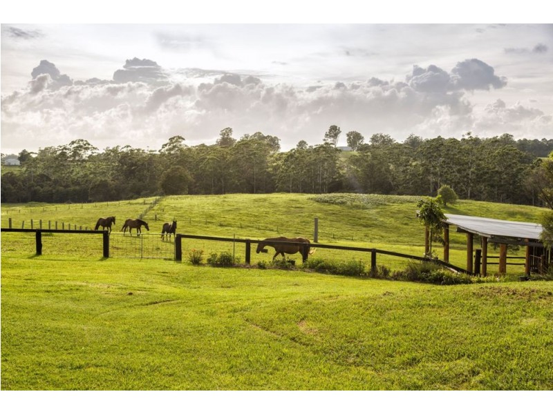 387 Tamban Rd, Tamban NSW 2441