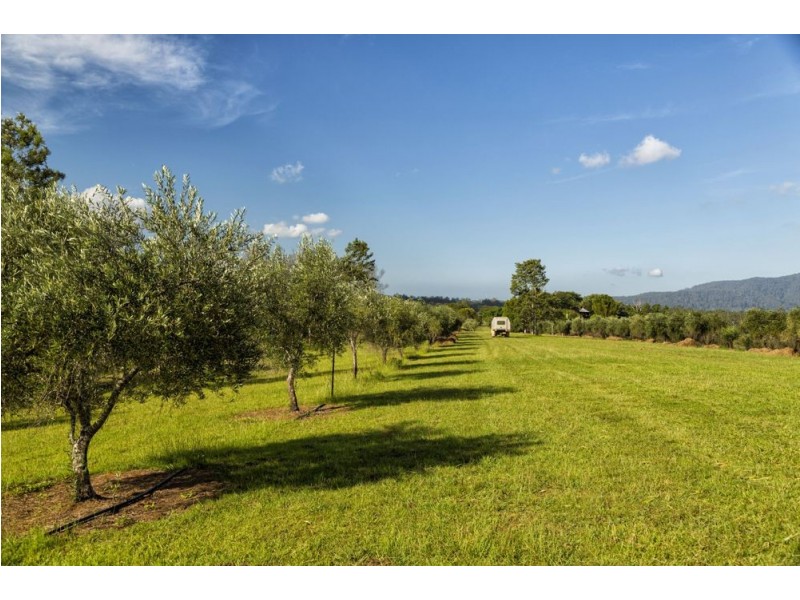 387 Tamban Rd, Tamban NSW 2441