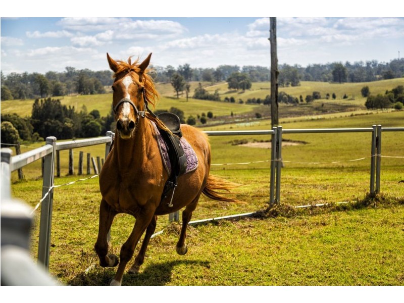 387 Tamban Rd, Tamban NSW 2441