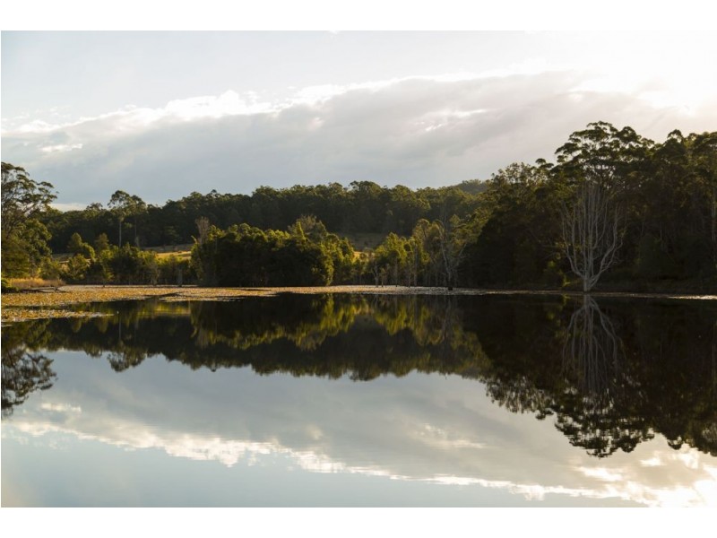 387 Tamban Rd, Tamban NSW 2441