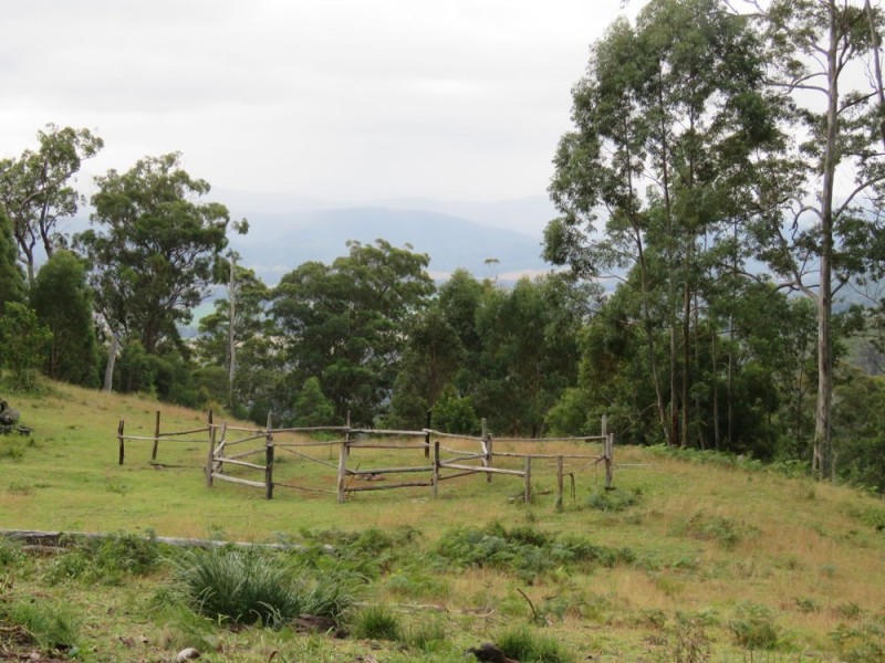 145 Costigans Road, Yarras NSW 2446