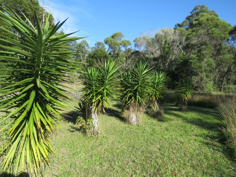 Crescent Head Road, Kempsey NSW 2440