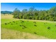 145 Old Kempsey Road, Gum Scrub NSW 2441