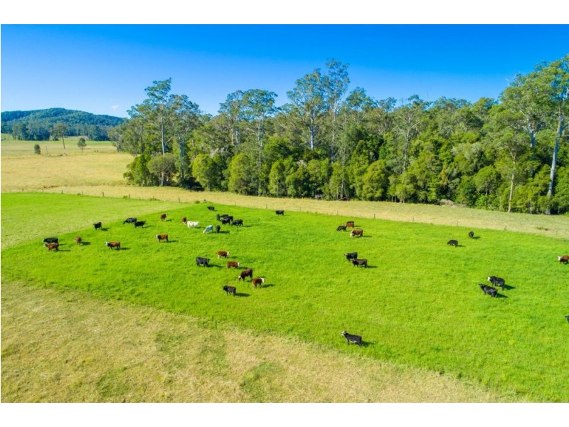 145 Old Kempsey Road, Gum Scrub NSW 2441