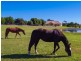 435 Rawdon Island Road, Port Macquarie NSW 2444