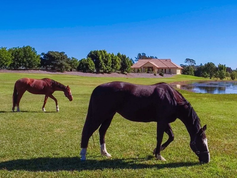 435 Rawdon Island Road, Port Macquarie NSW 2444