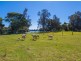 435 Rawdon Island Road, Port Macquarie NSW 2444