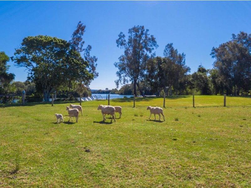 435 Rawdon Island Road, Port Macquarie NSW 2444