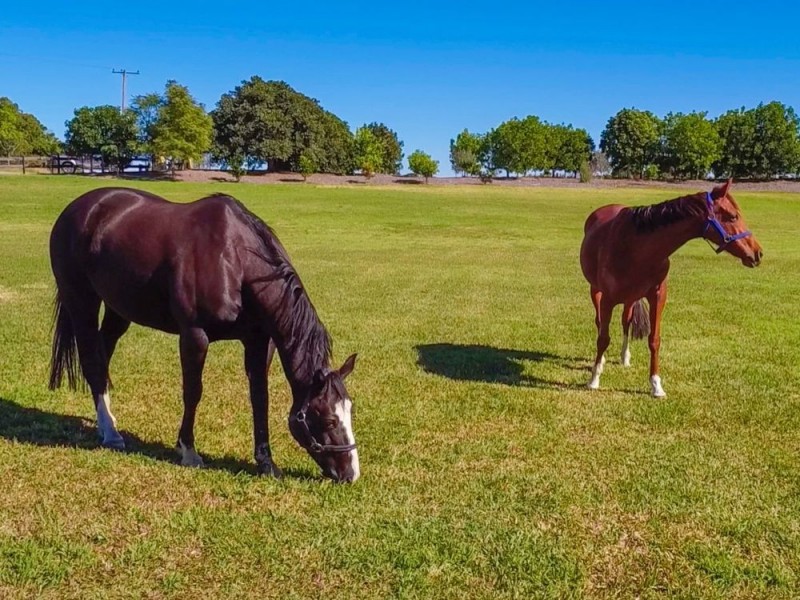 435 Rawdon Island Road, Port Macquarie NSW 2444