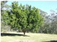 Lot 46 Ainsworth Lane, Kempsey NSW 2440