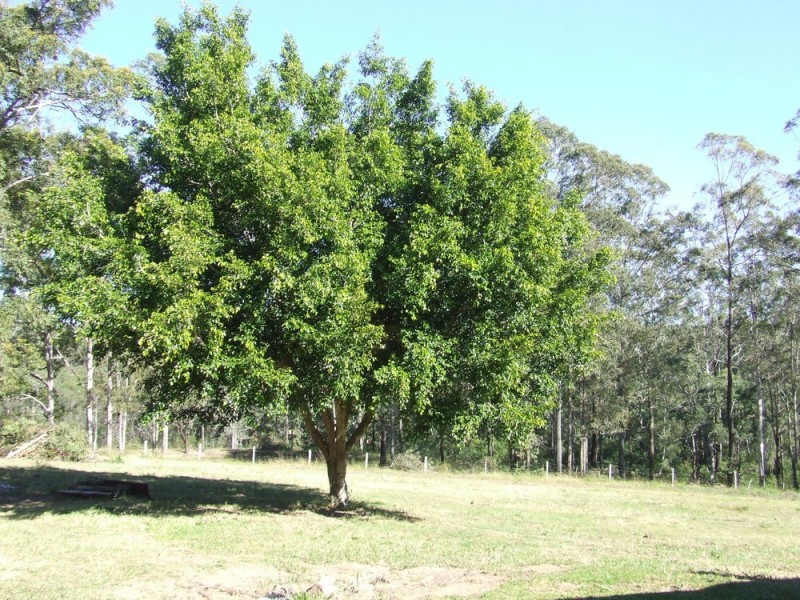 Lot 46 Ainsworth Lane, Kempsey NSW 2440