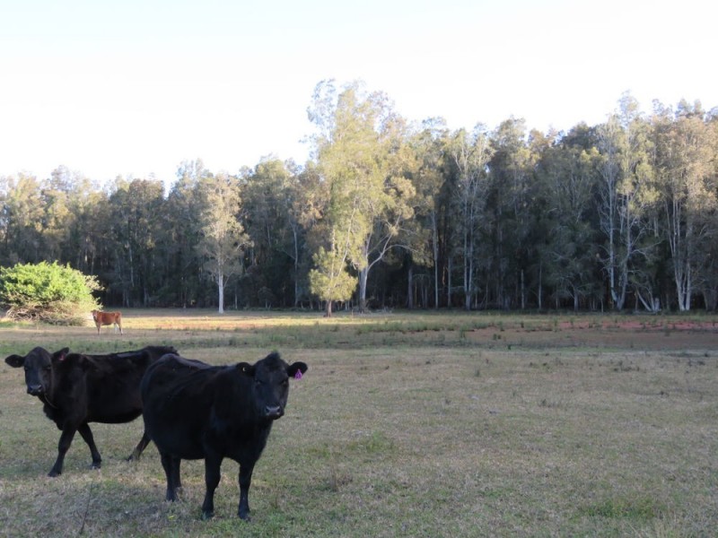 653 Maria River Road, Crescent Head NSW 2440