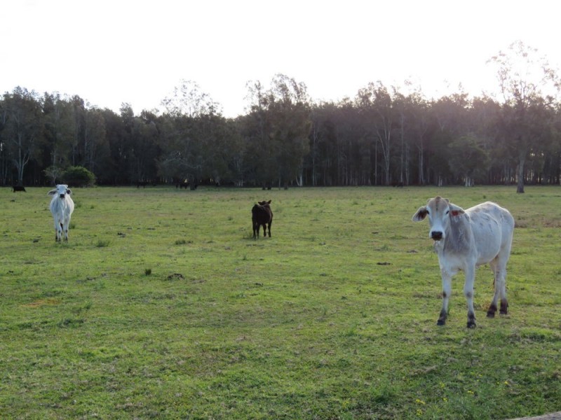 653 Maria River Road, Crescent Head NSW 2440