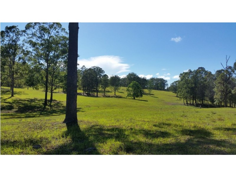 179 Link Road, Aldavilla NSW 2440