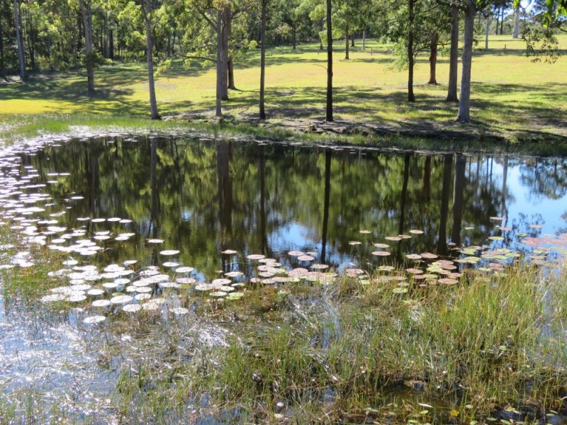 179 Link Road, Aldavilla NSW 2440