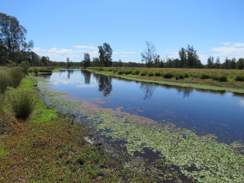 Collombatti NSW 2440