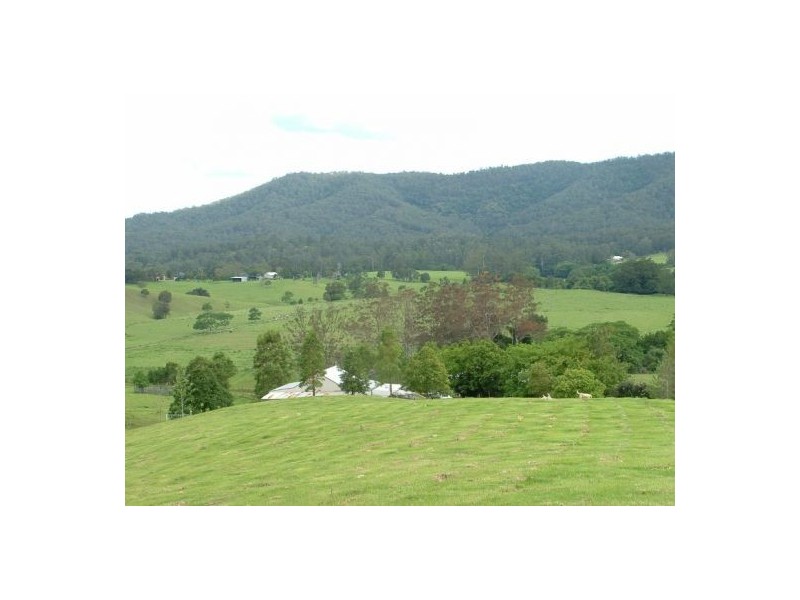 Beechwood NSW 2446
