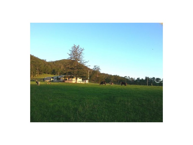Kindee NSW 2446
