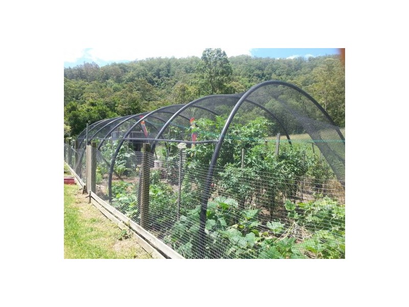 Kindee NSW 2446