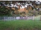 Kindee NSW 2446