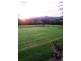 Kindee NSW 2446